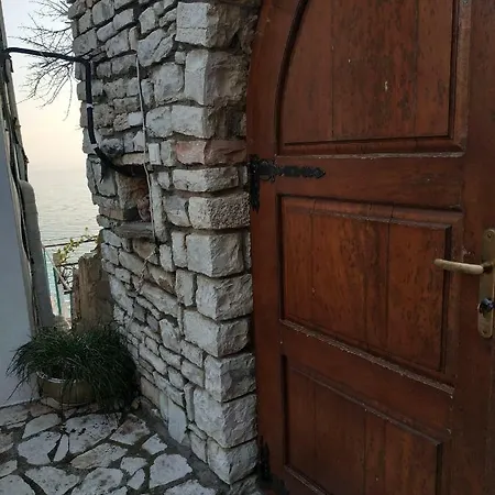Guest house Q Bay