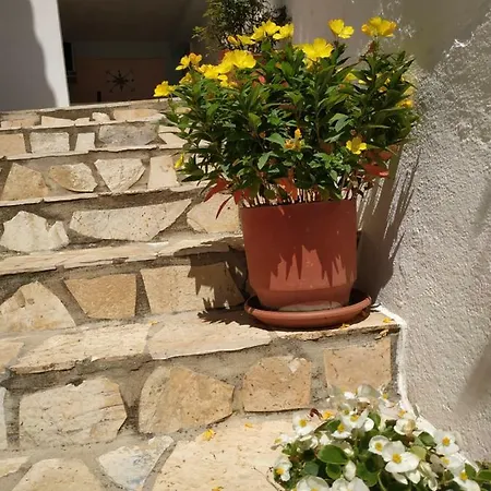 Guest house Q Bay Qeparo